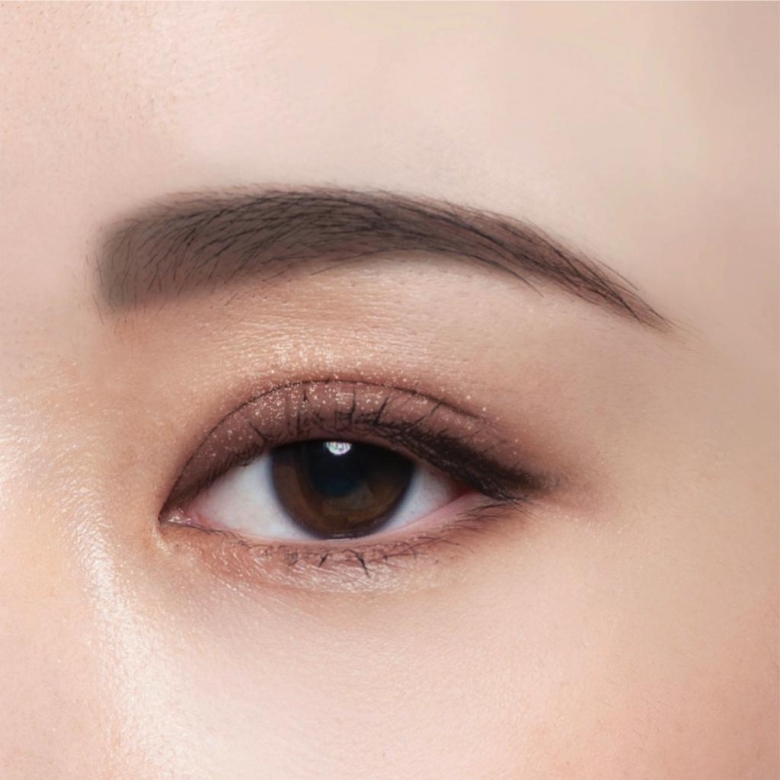 Chacott Face Color Palette 500