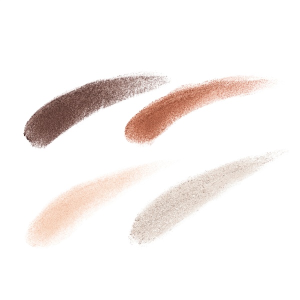 Chacott Face Color Palette 500