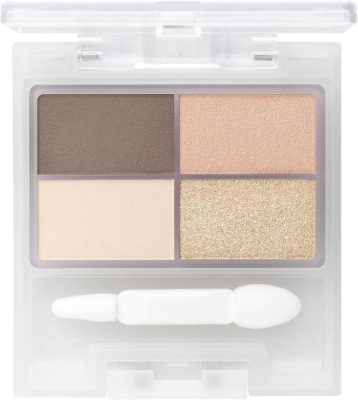 Chacott Face Color Palette 505