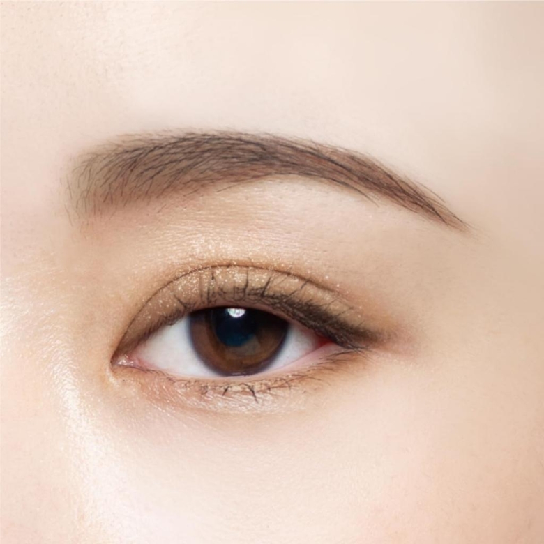 Chacott Face Color Palette 505