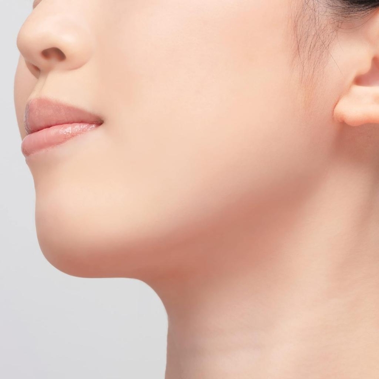 Chacott Multi Color Variation BA01