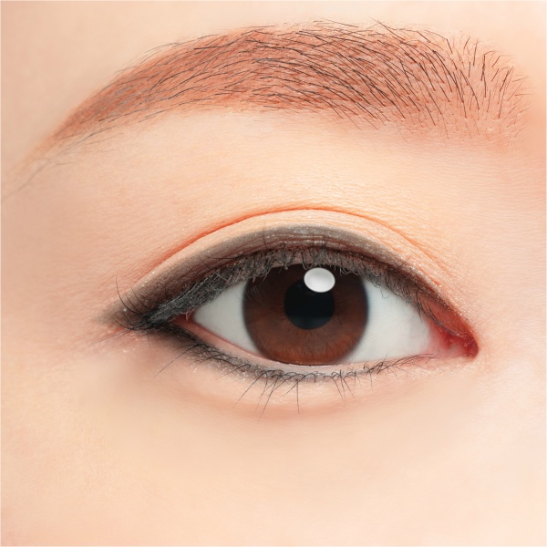 Chacott Multi Color Variation ME02