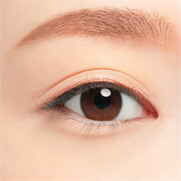 Chacott Multi Color Variation ME03