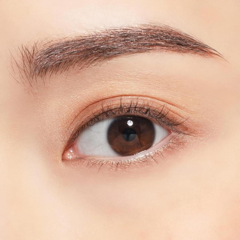 Chacott Multi Color Variation SK06