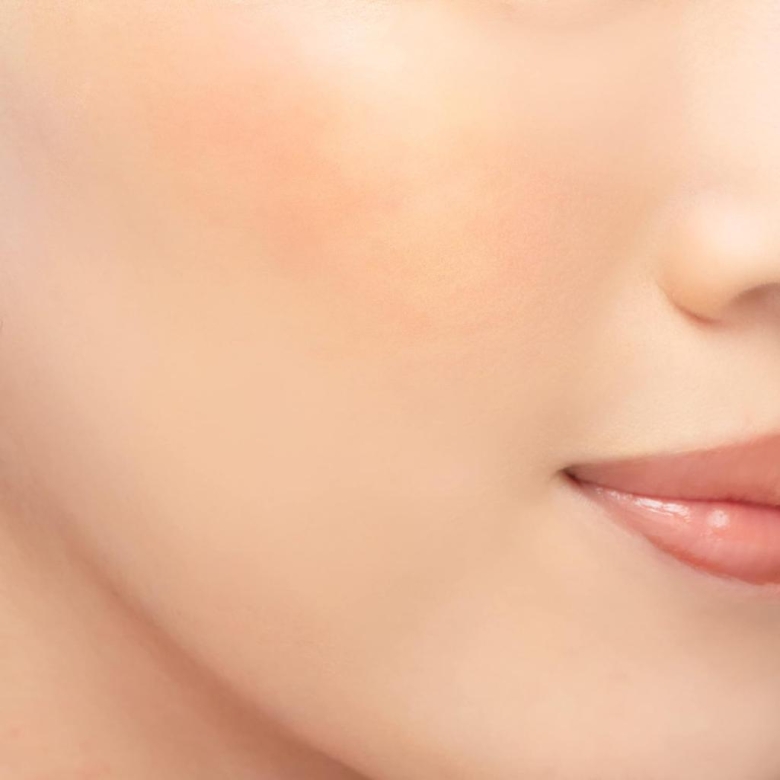 Chacott Multi Color Variation SK08