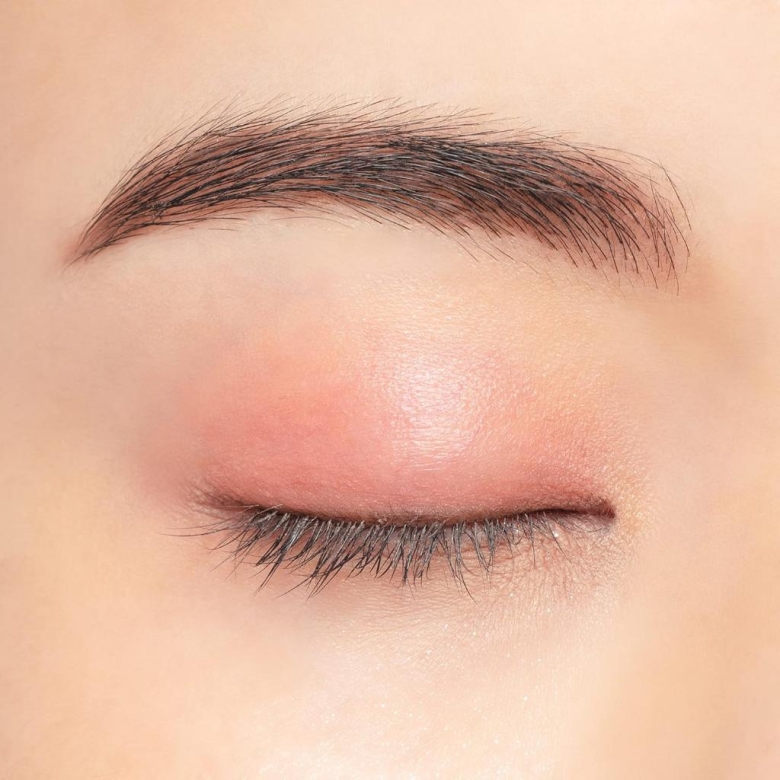 Chacott Multi Color Variation SK08