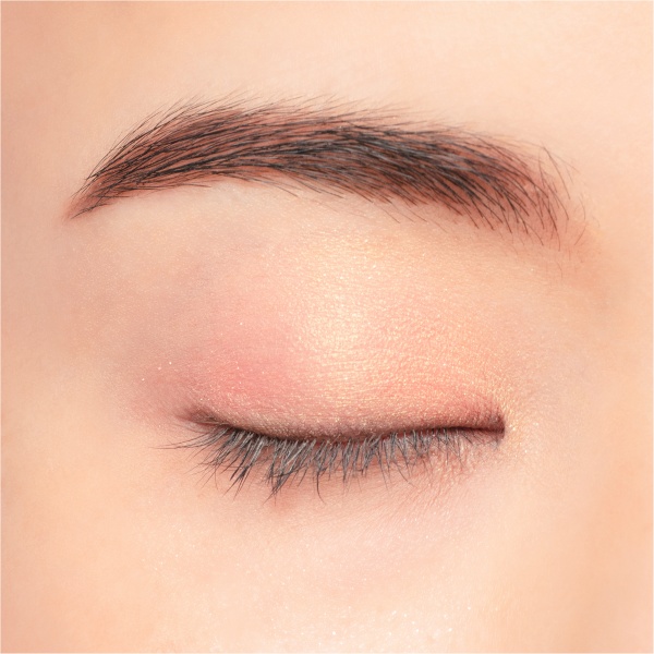 Chacott Multi Color Variation TW04