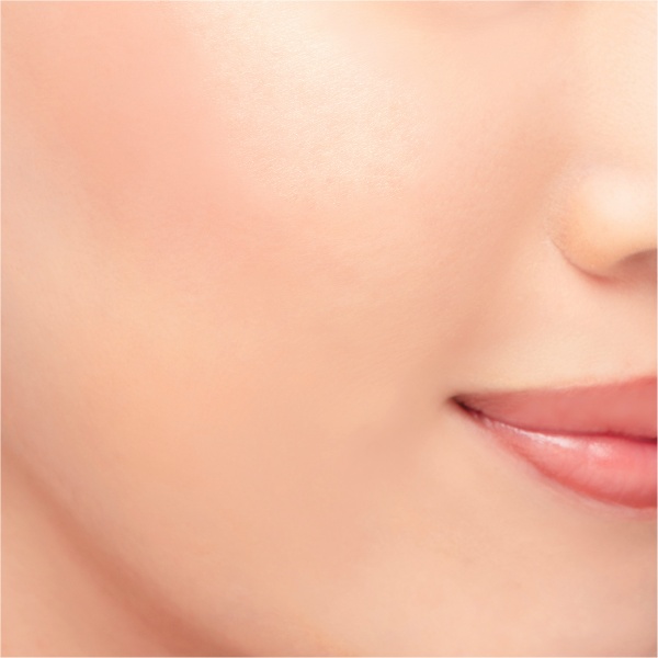 Chacott Multi Color Variation TW04