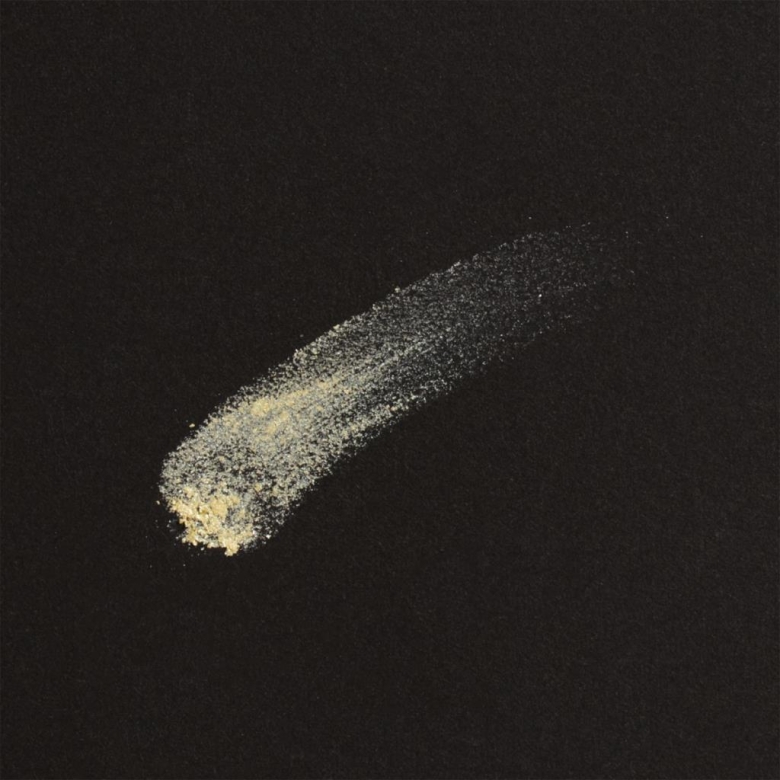 Chacott Multi Color Variation TW08