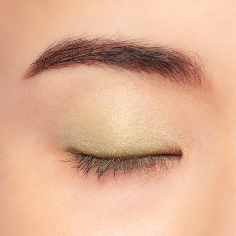 Chacott Multi Color Variation TW08