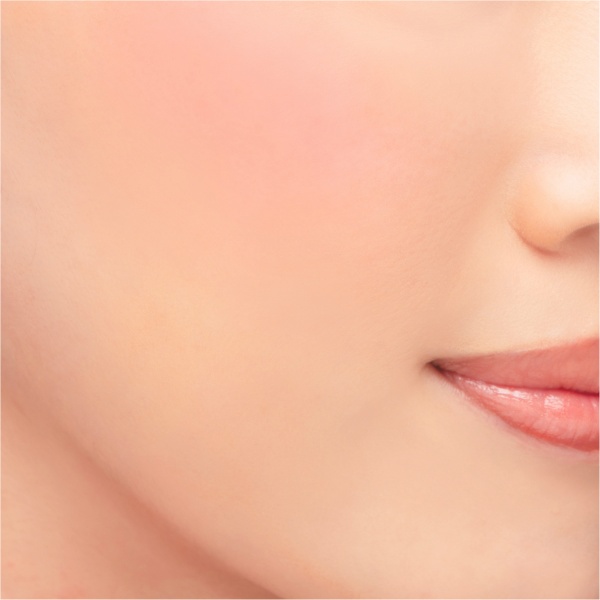 Chacott Multi Color Variation VV01