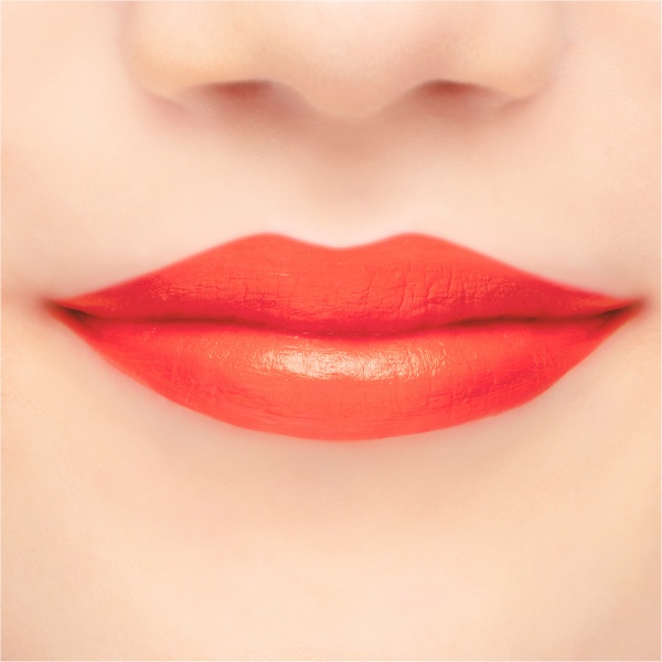 Chacott Multi Color Variation VV10