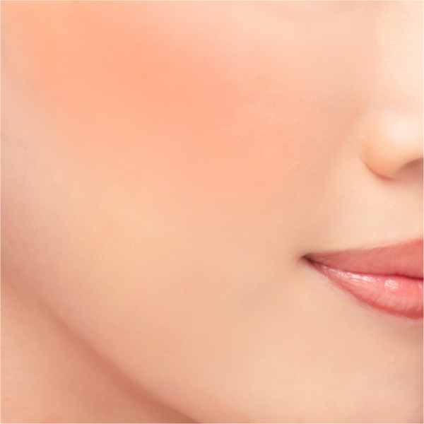 Chacott Multi Color Variation VV10