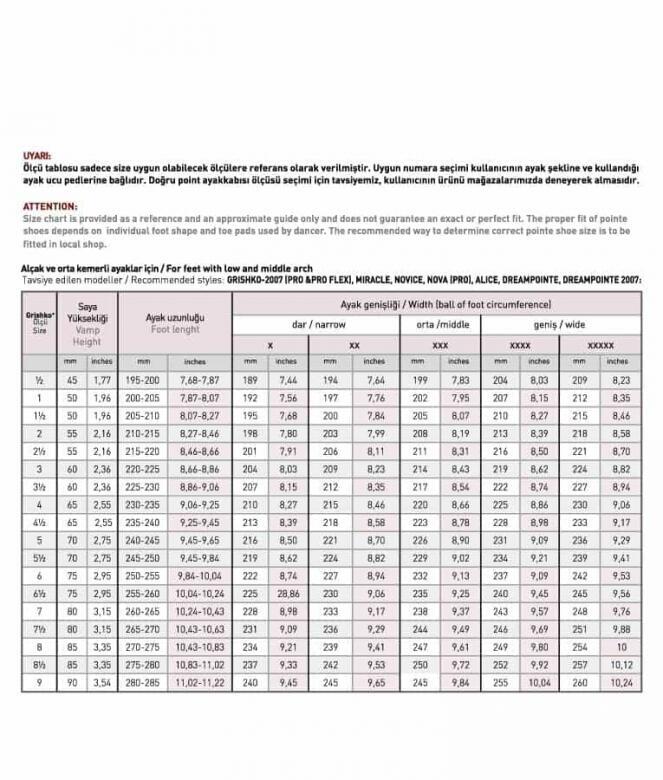 Grishko DREAM POINTE Pointe Shoe HF Hard Flex Grishko DREAM POINTE Pointe Shoe HF Hard Flex