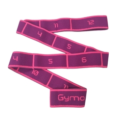 GYMO SPORTS - Gymo Pro Series Numaralı Senior Direnç Bandı (1)