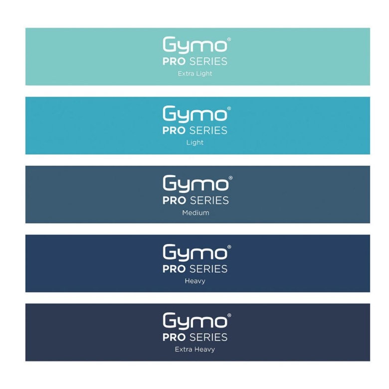 Gymo Pro Series Çantalı Direnç Bandı Fitness Pilates Esnetme Lastiği 5'li Set Mavi
