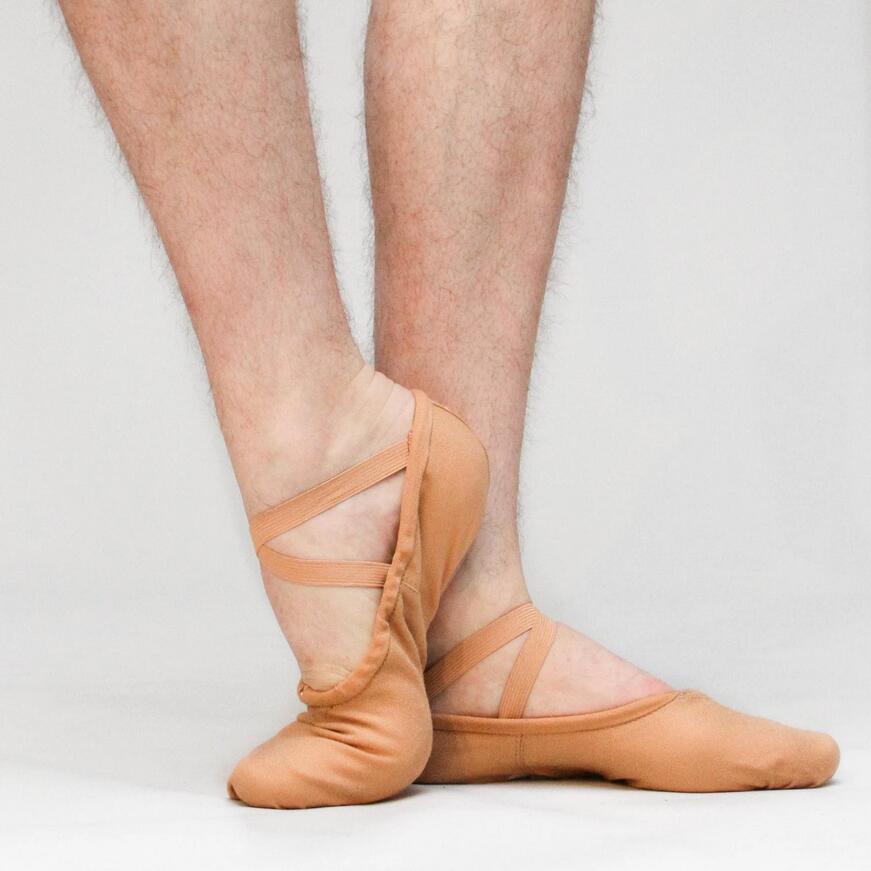Sansha Ballet Slippers Skin